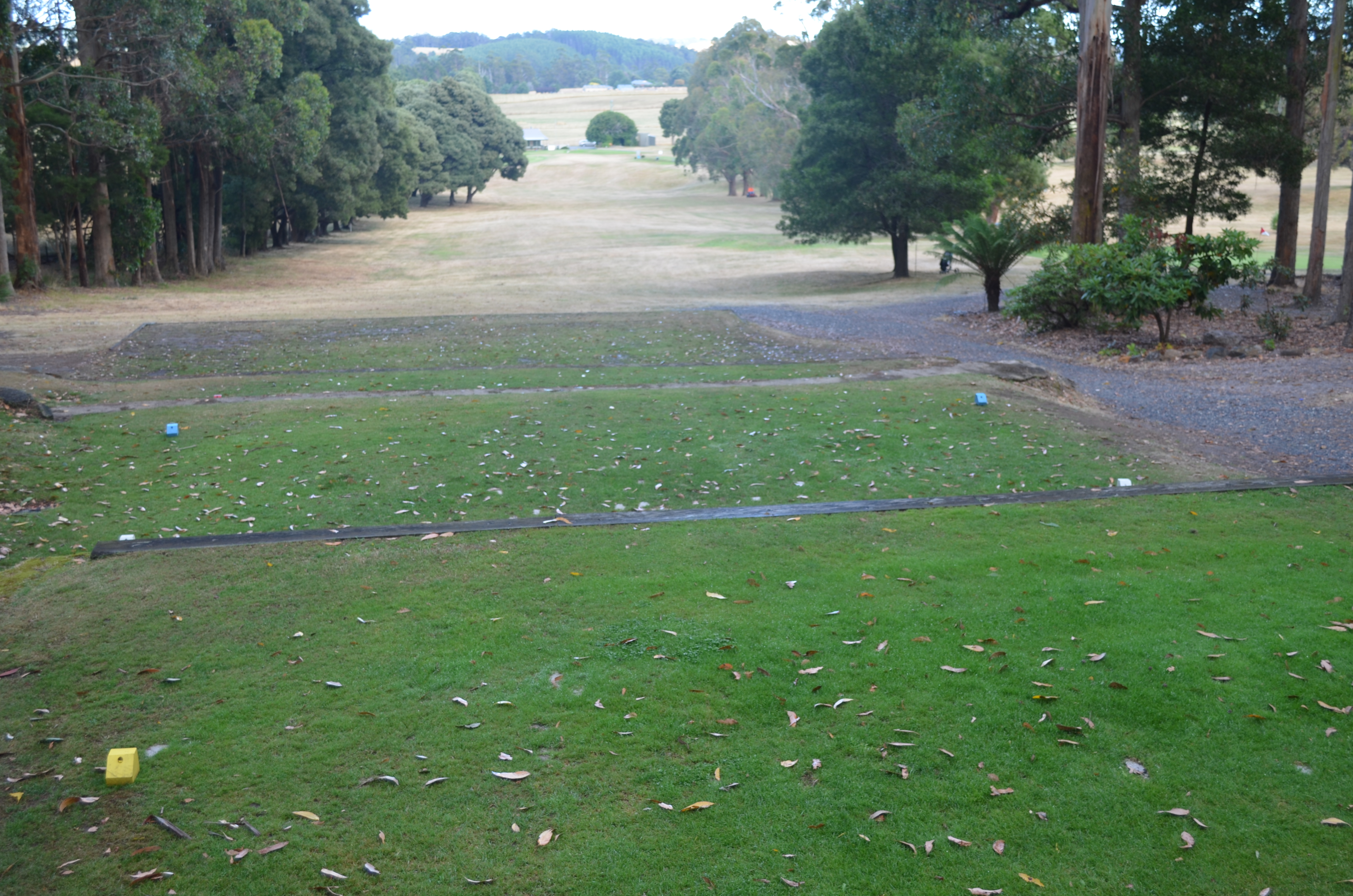 Third Tee