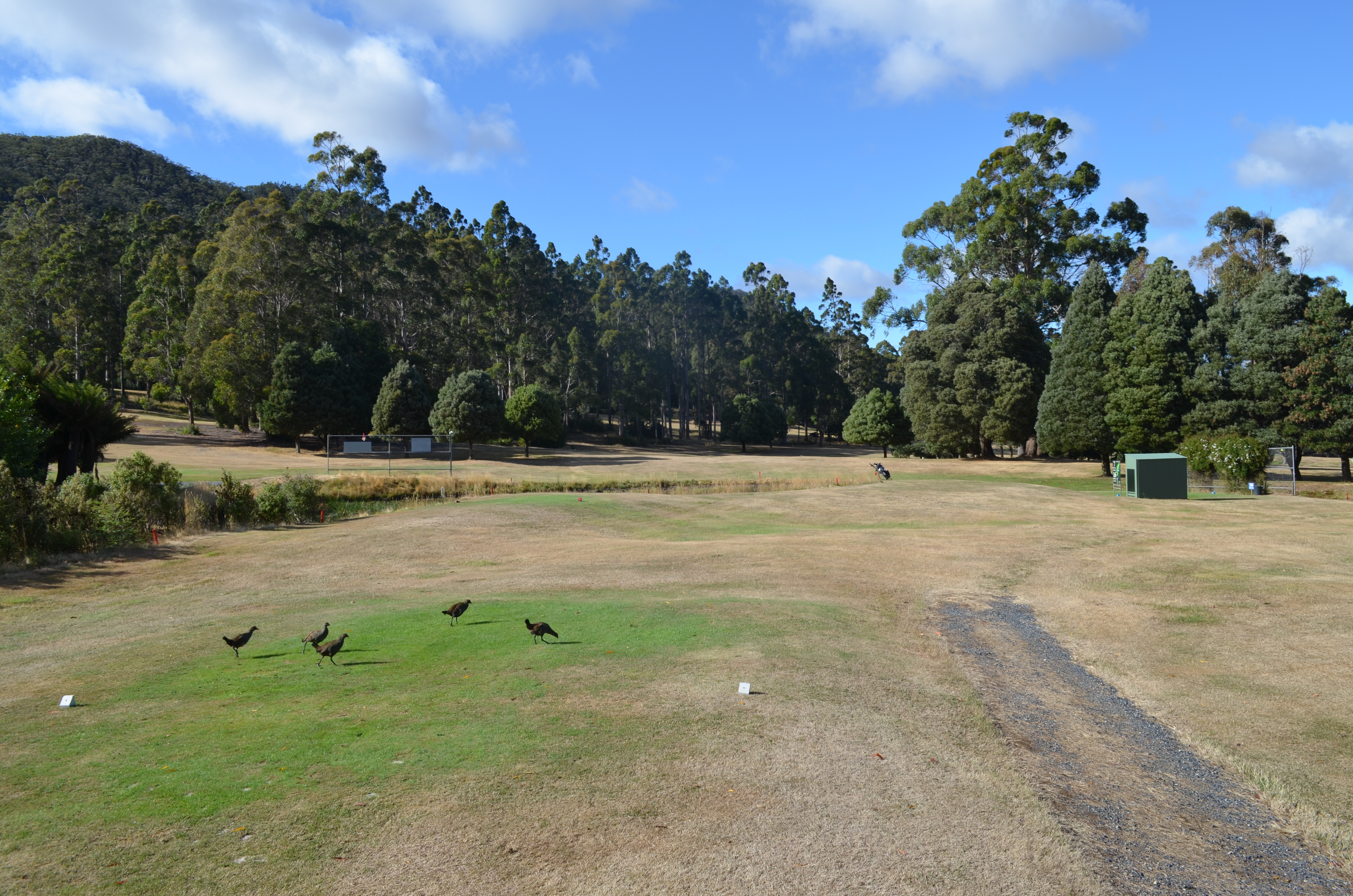 Seventh Tee (White)