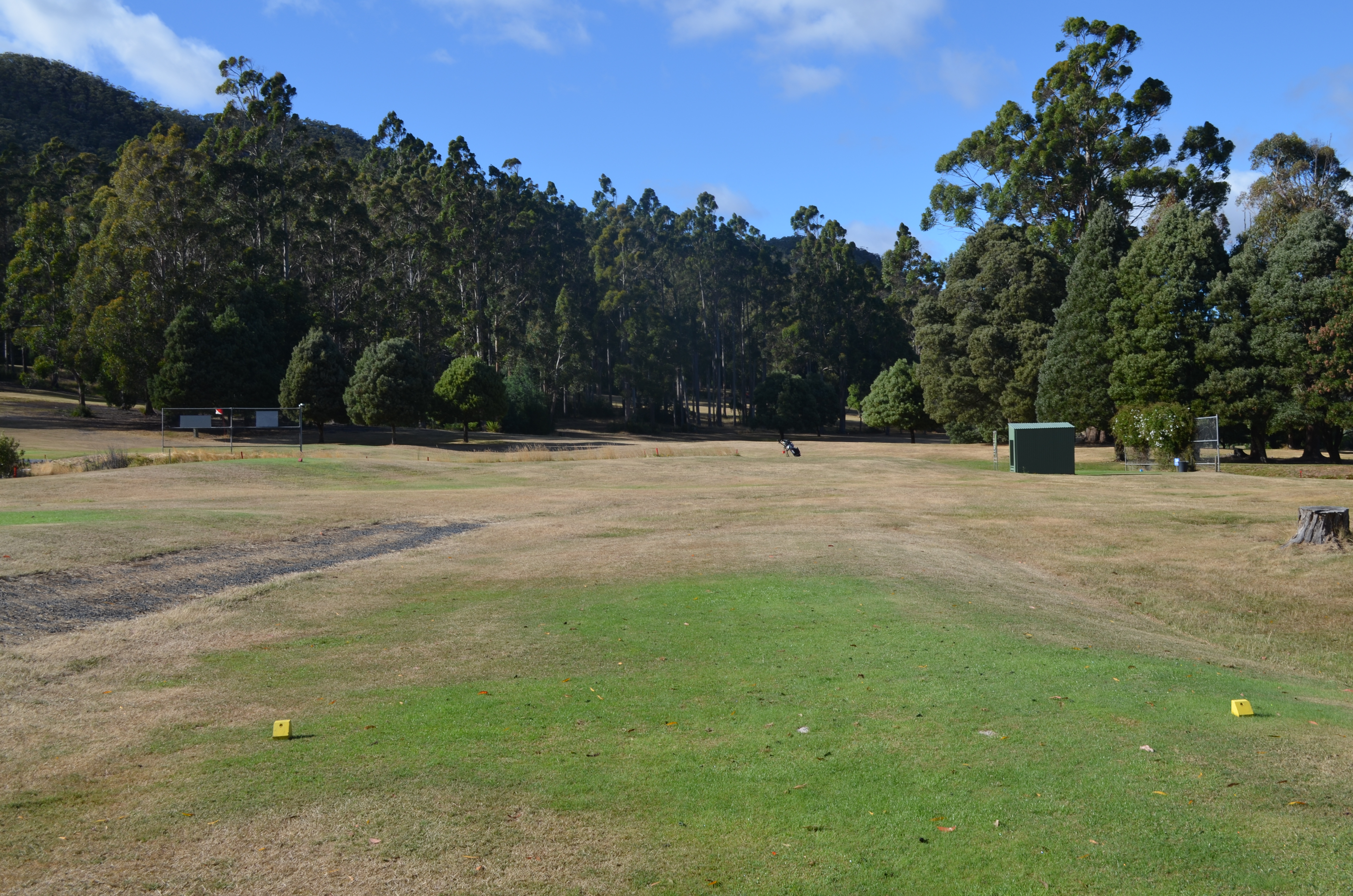 Seventh Tee (Yellow)