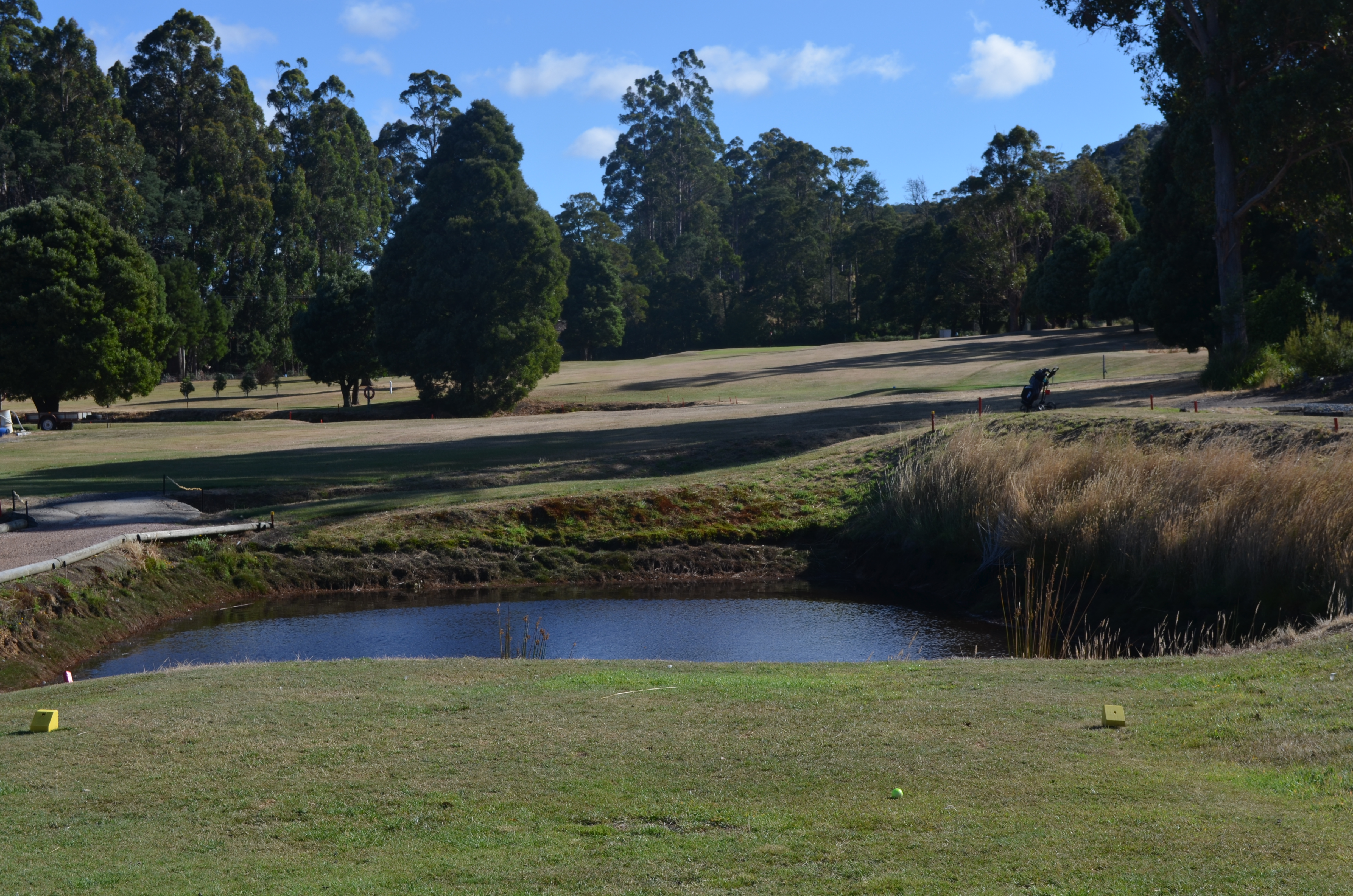 Eighth Tee (Yellow)
