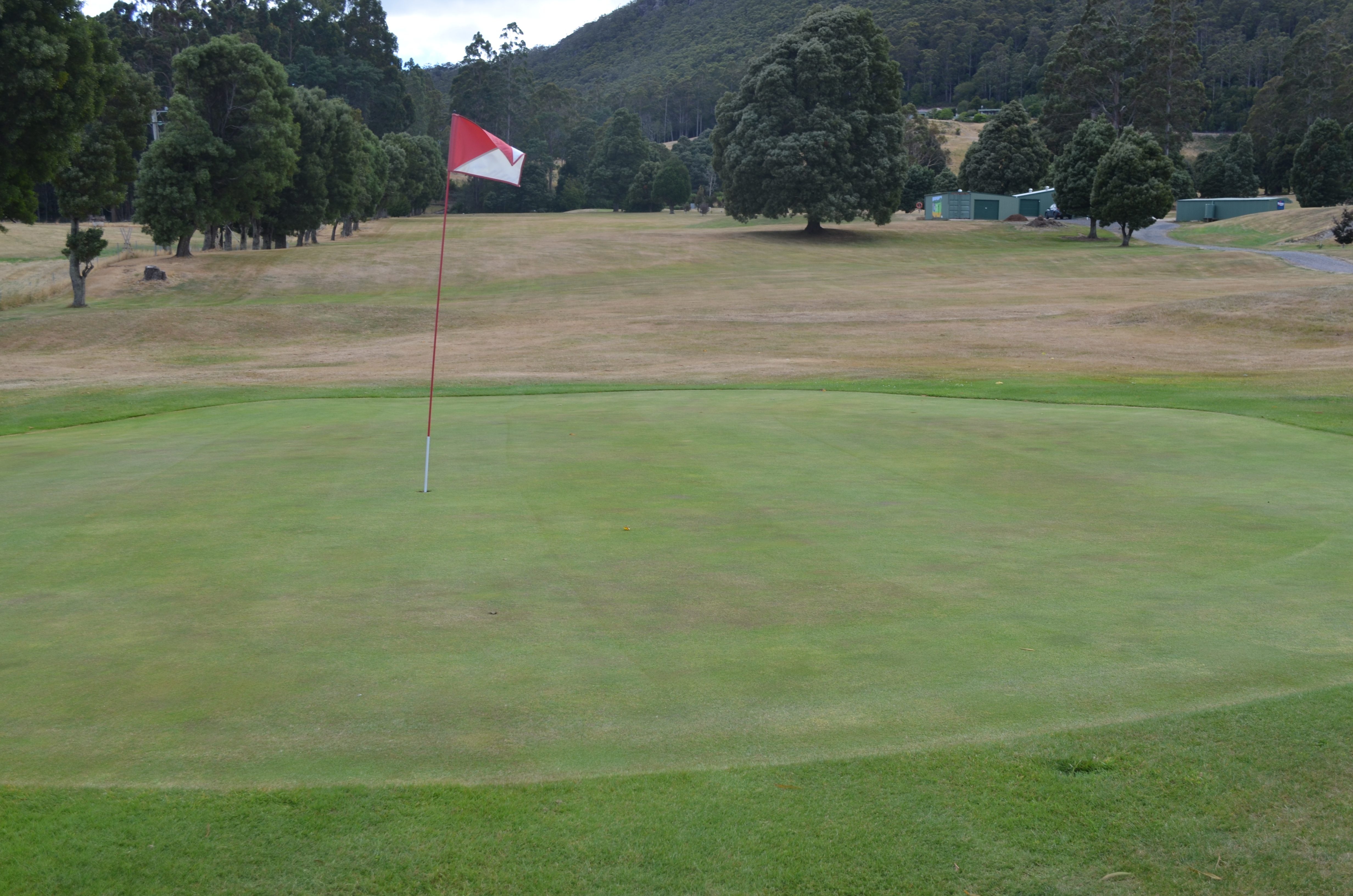 09_Green_20260219 (3) Ninth Green